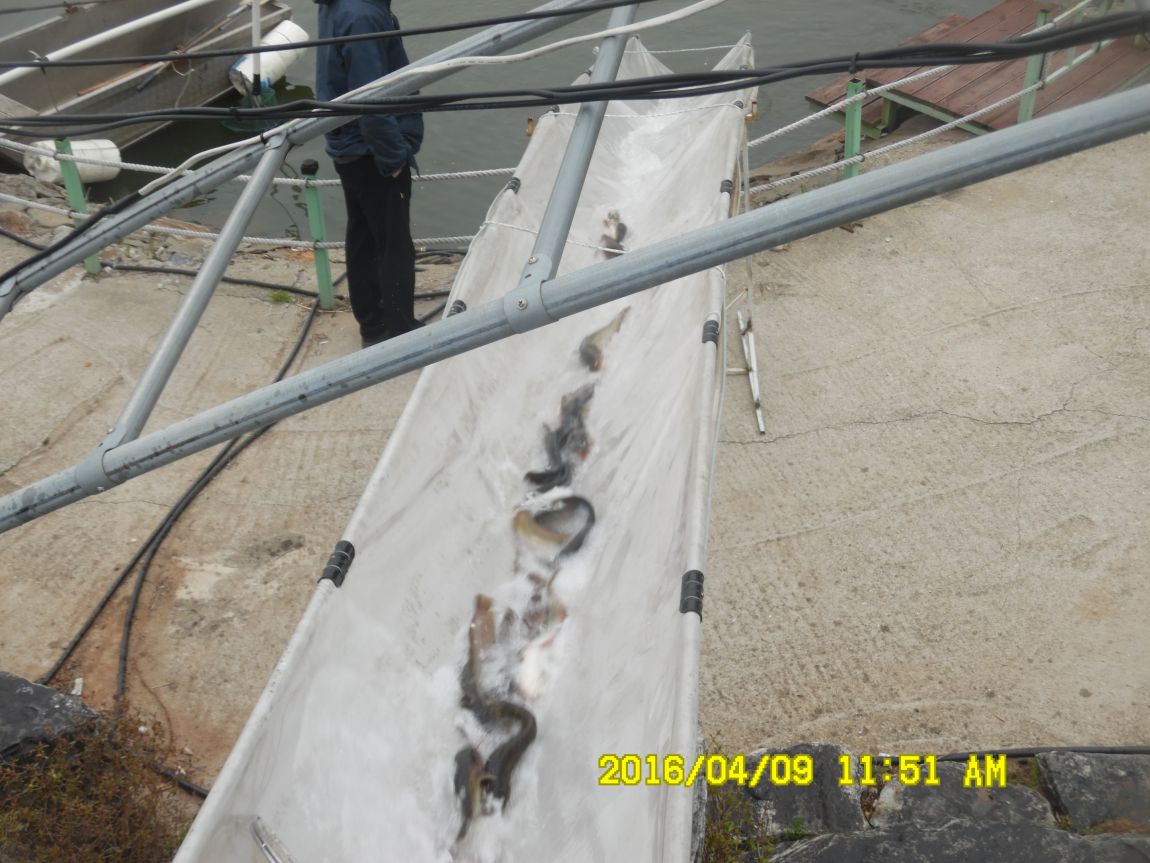 4��9�� 019.JPG