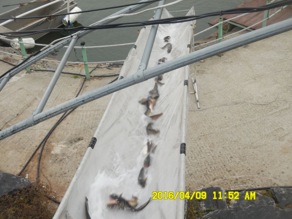 4��9�� 020.JPG