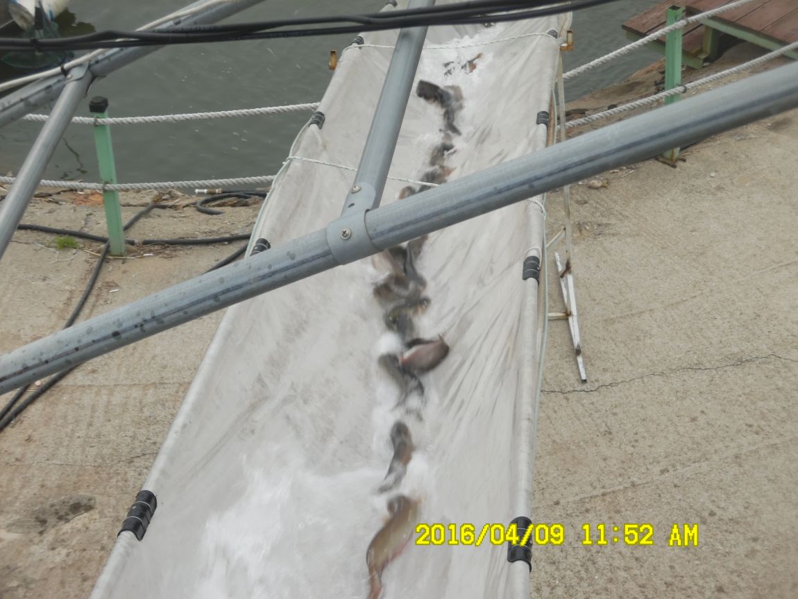 4��9�� 021.JPG