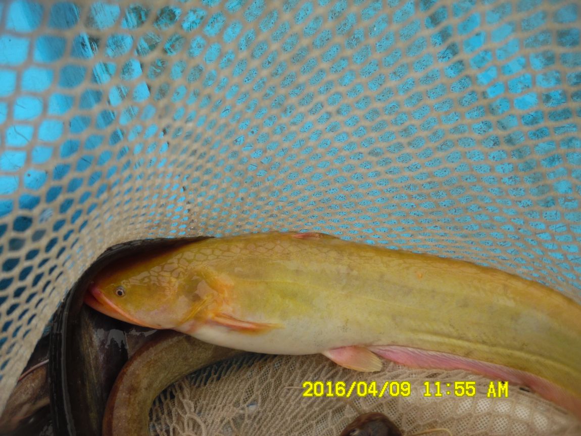 4��9�� 024.JPG