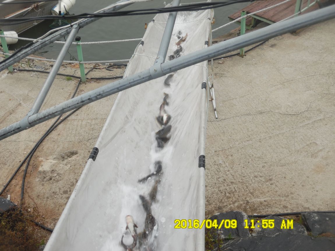 4��9�� 026.JPG