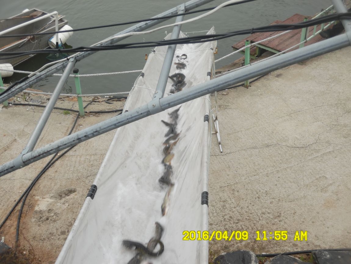 4��9�� 027.JPG