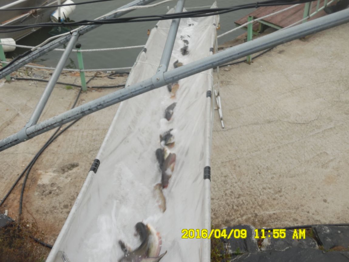 4��9�� 028.JPG