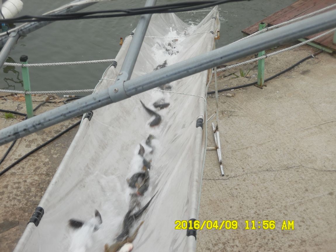 4��9�� 029.JPG