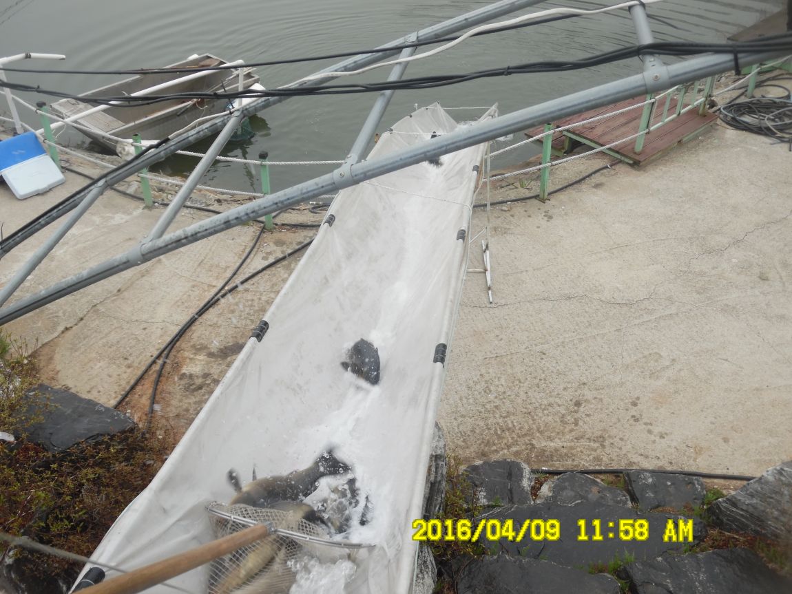 4��9�� 031.JPG