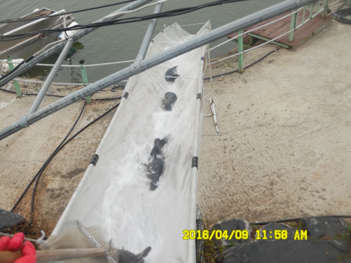 4��9�� 032.JPG