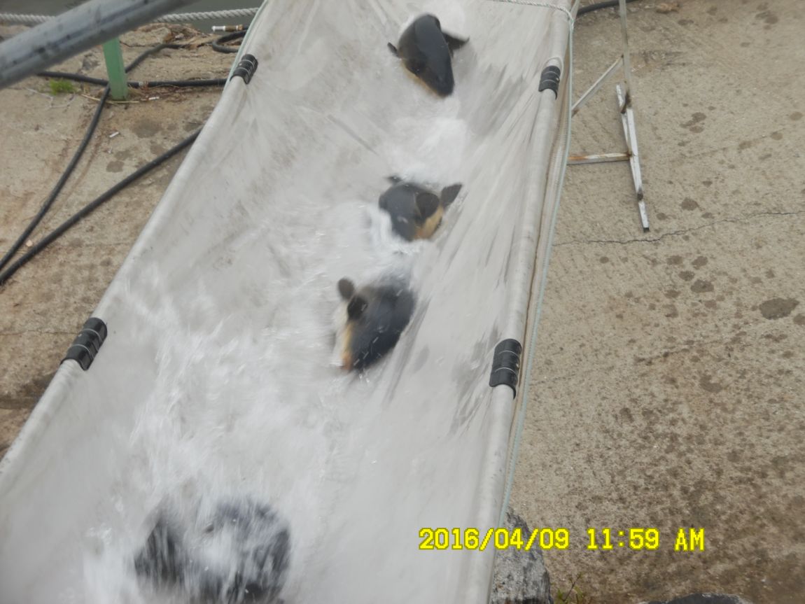 4��9�� 033.JPG