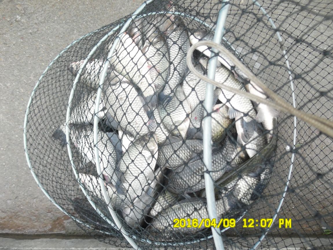 4��9�� 034.JPG