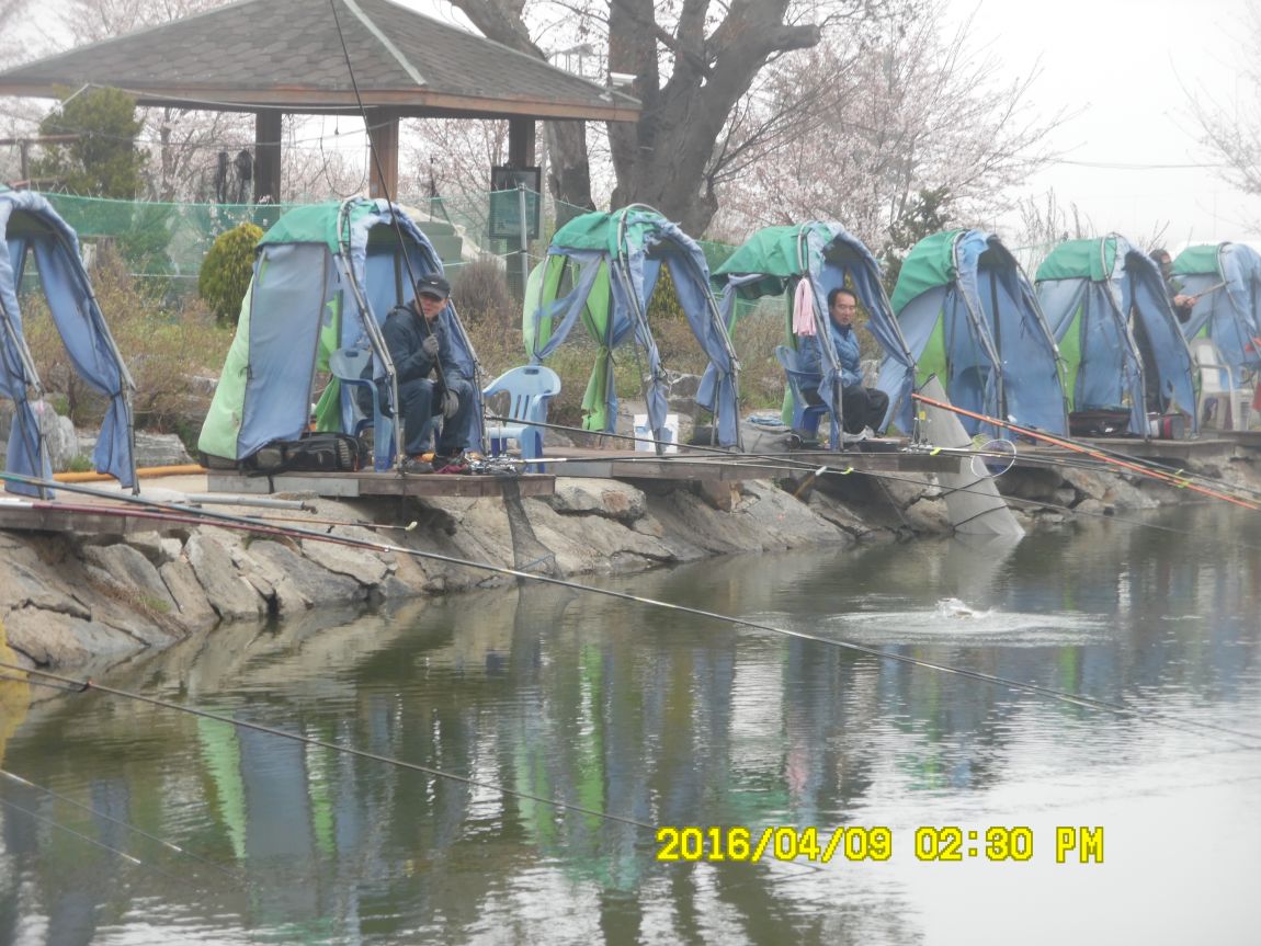 4��9�� 036.JPG