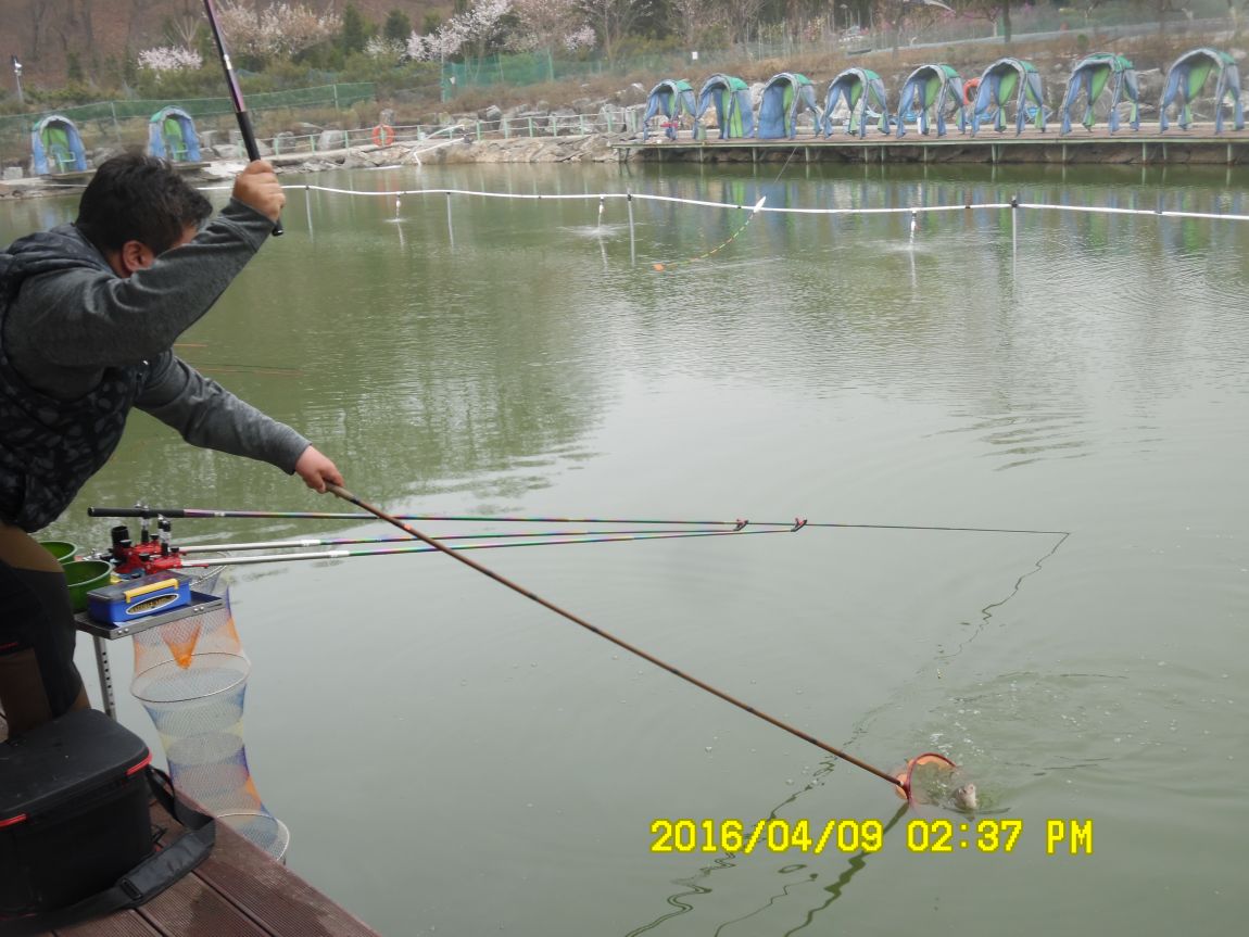 4��9�� 041.JPG