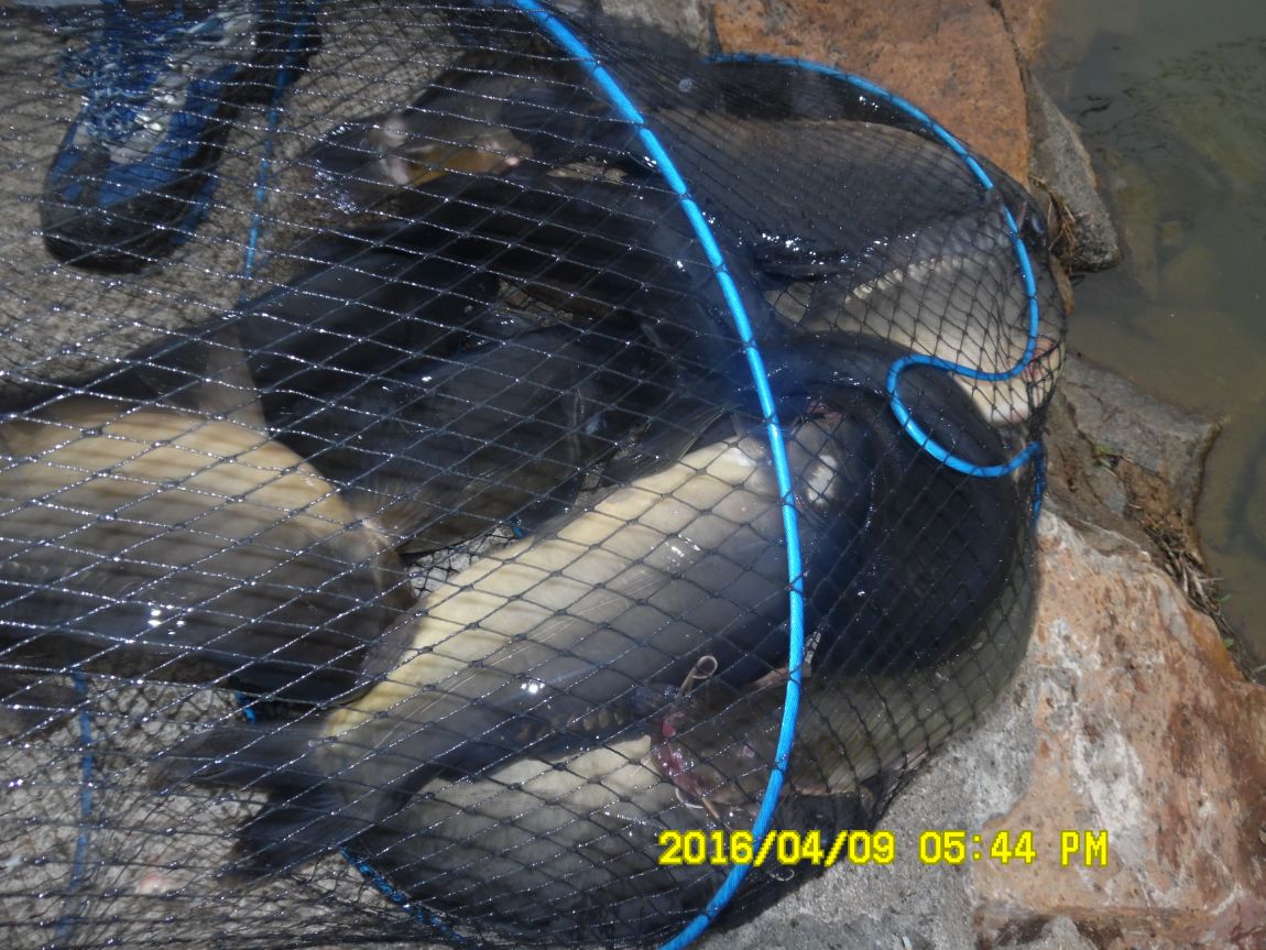 4��9�� 048.JPG