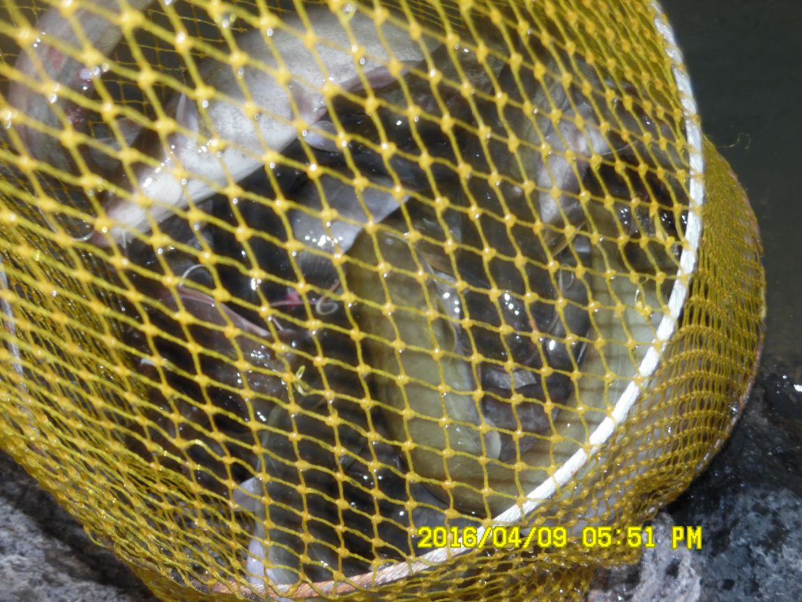 4��9�� 049.JPG