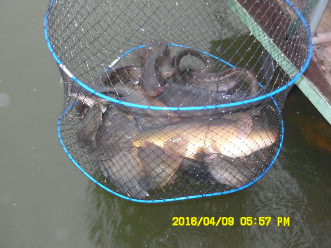 4��9�� 050.JPG