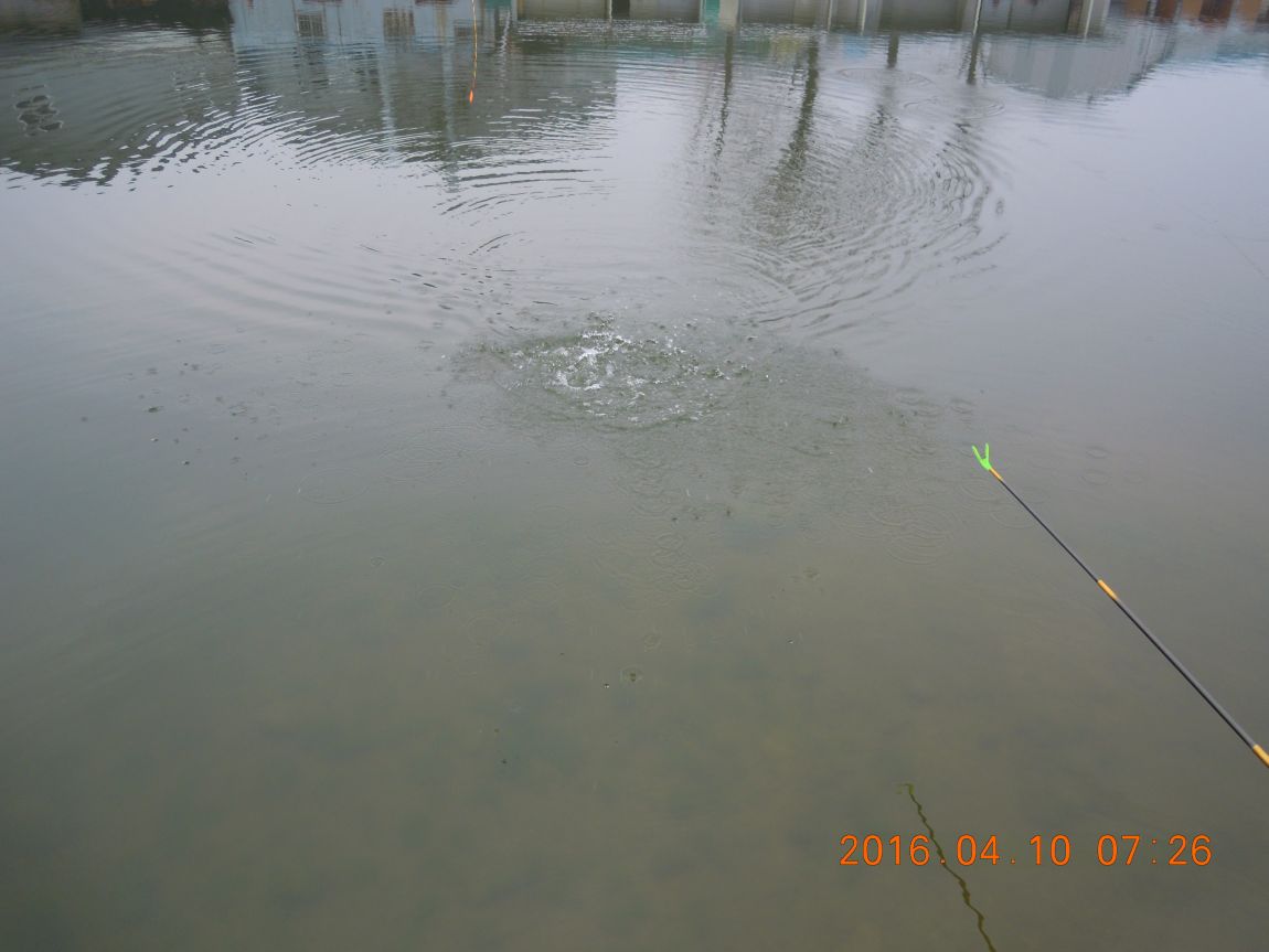 DSCN0386.JPG