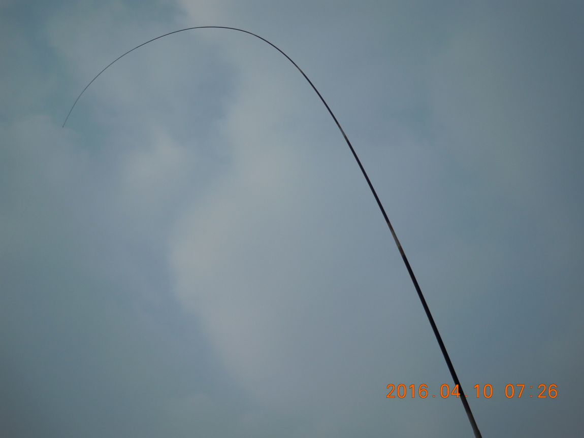 DSCN0387.JPG