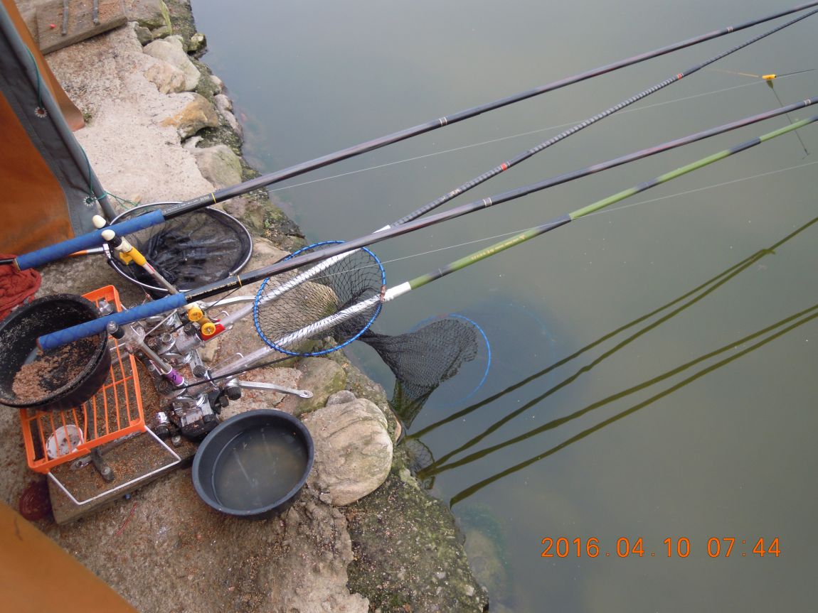 DSCN0404.JPG