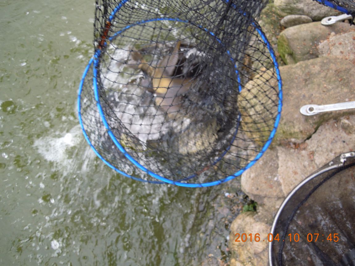 DSCN0408.JPG