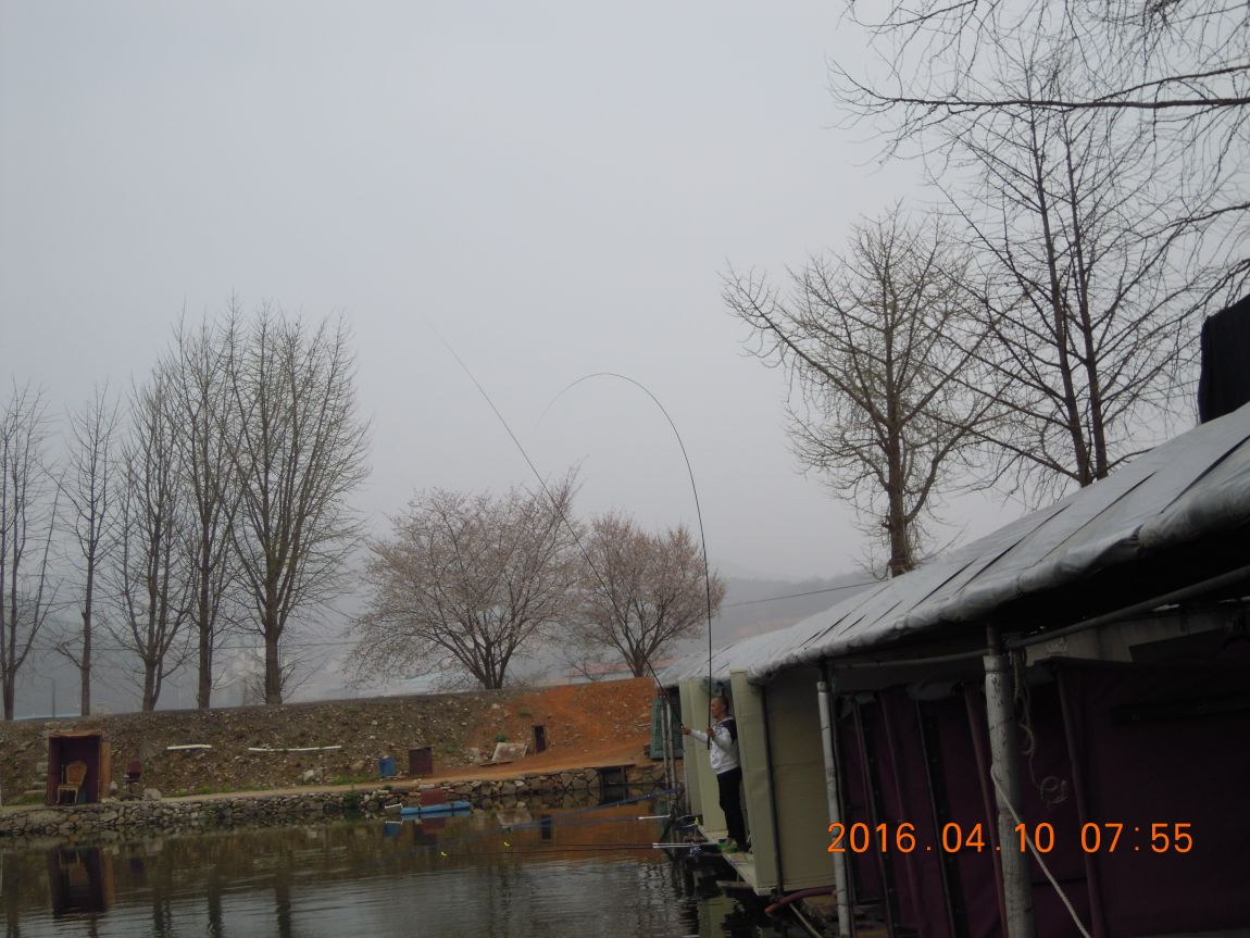 DSCN0420.JPG