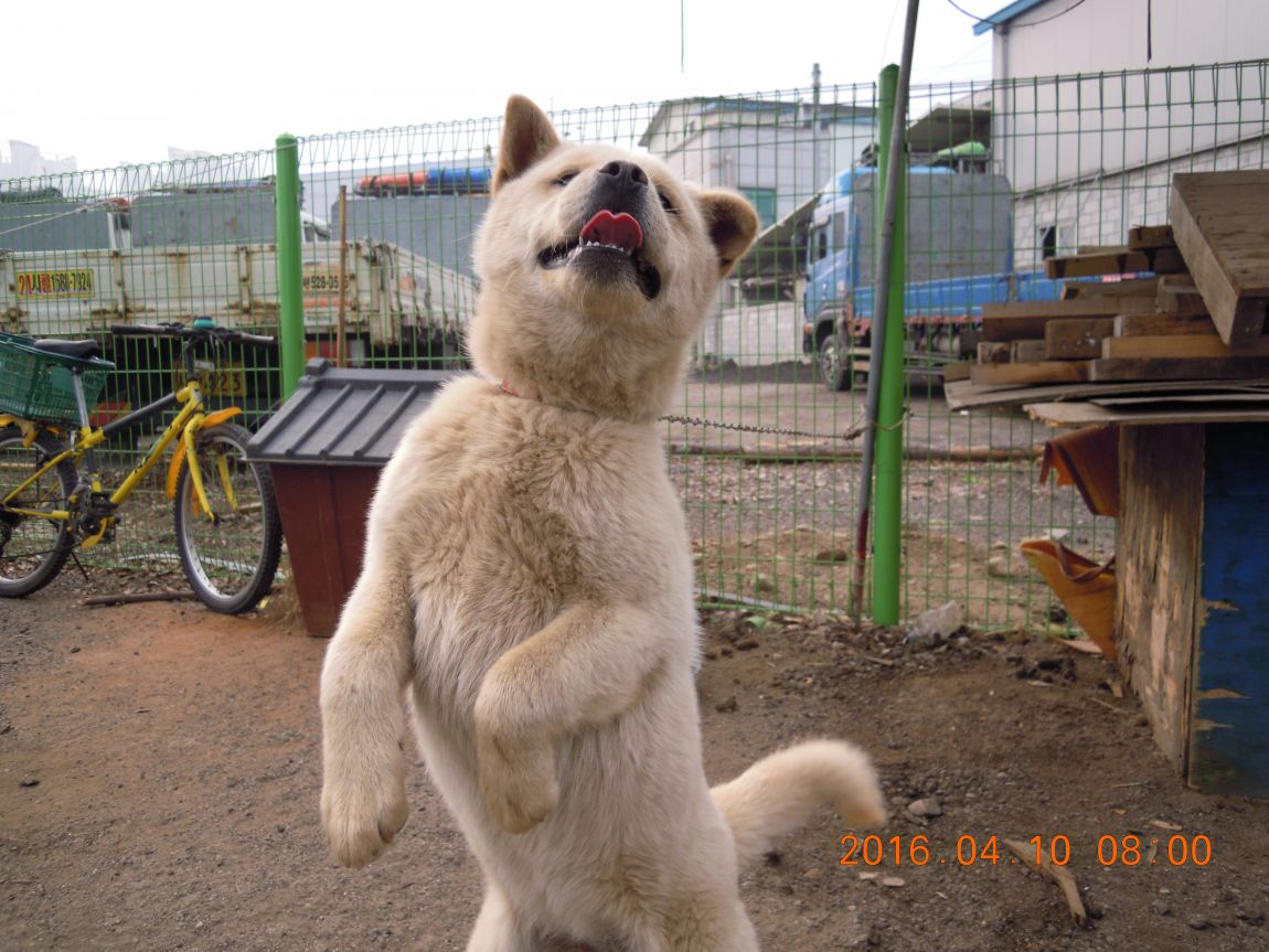 DSCN0424.JPG