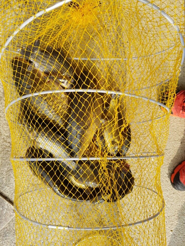 KakaoTalk_20160410_131847702.jpg