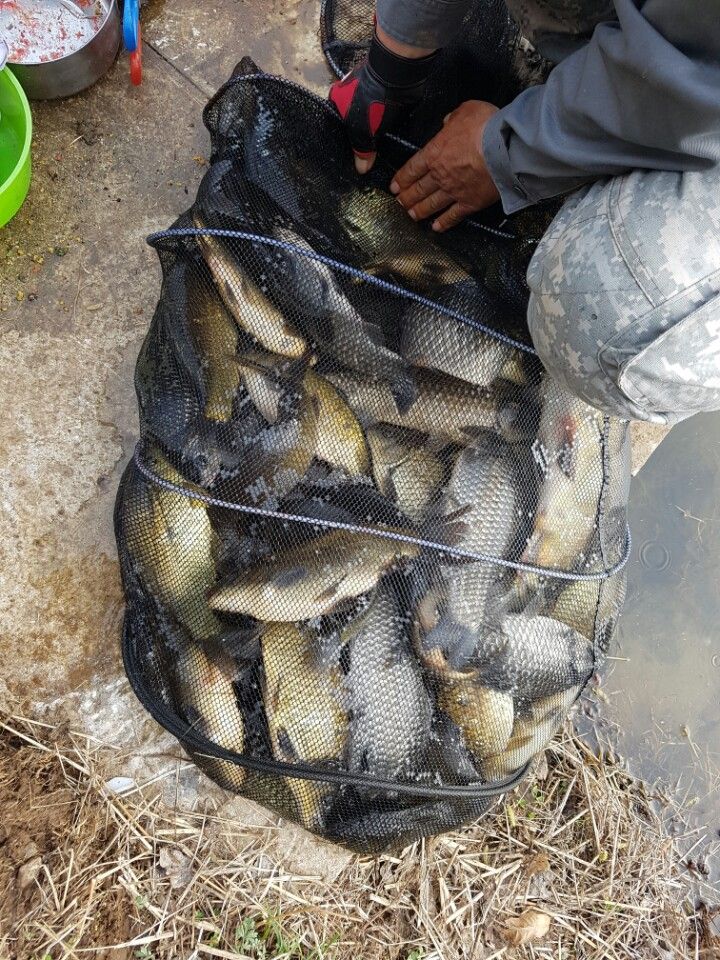 KakaoTalk_20160410_131848042.jpg