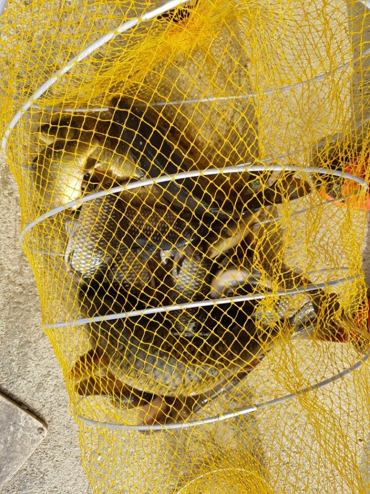 KakaoTalk_20160410_131848536.jpg