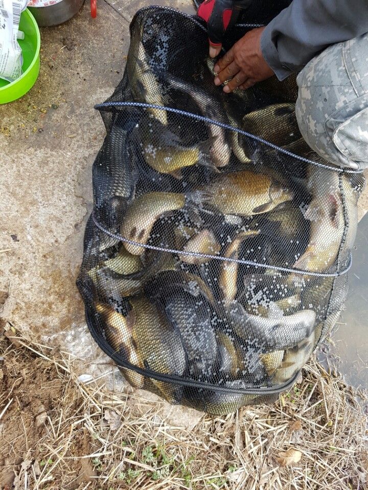 KakaoTalk_20160410_131849252.jpg