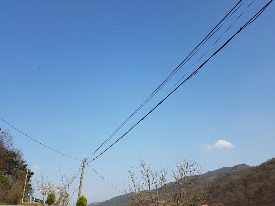 KakaoTalk_20160410_131849881.jpg