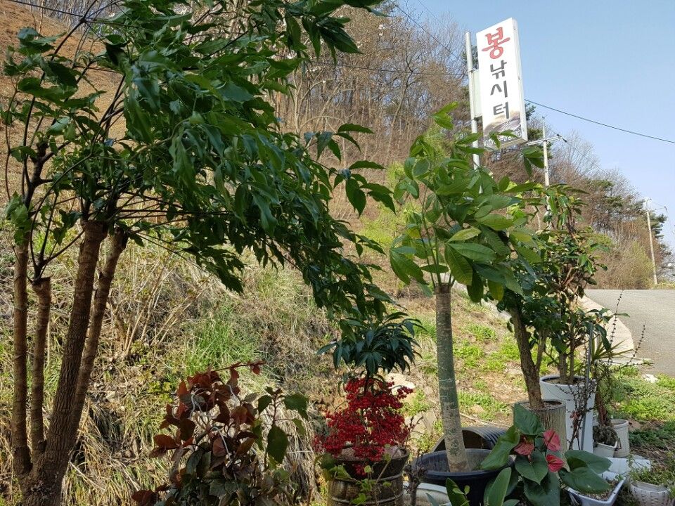 KakaoTalk_20160410_131850348.jpg