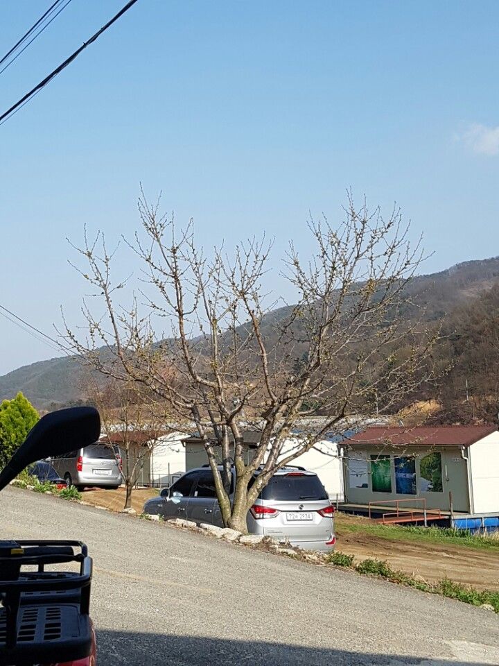 KakaoTalk_20160410_131850552.jpg