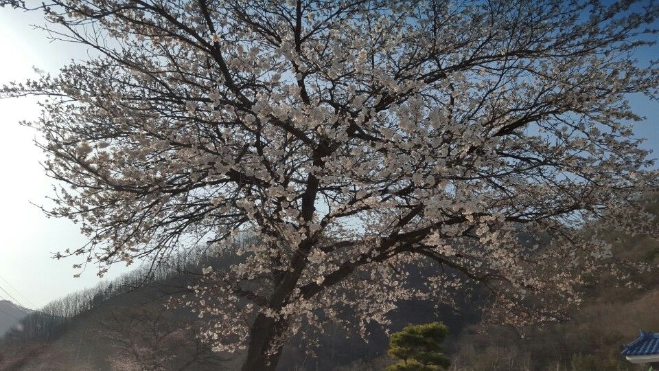 ���� 001.jpg