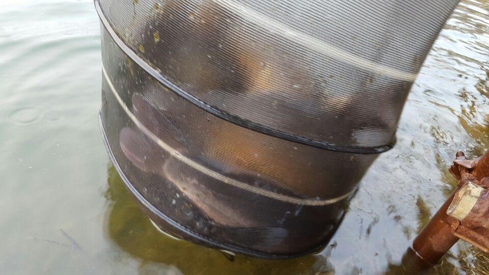 ���� 002.jpg