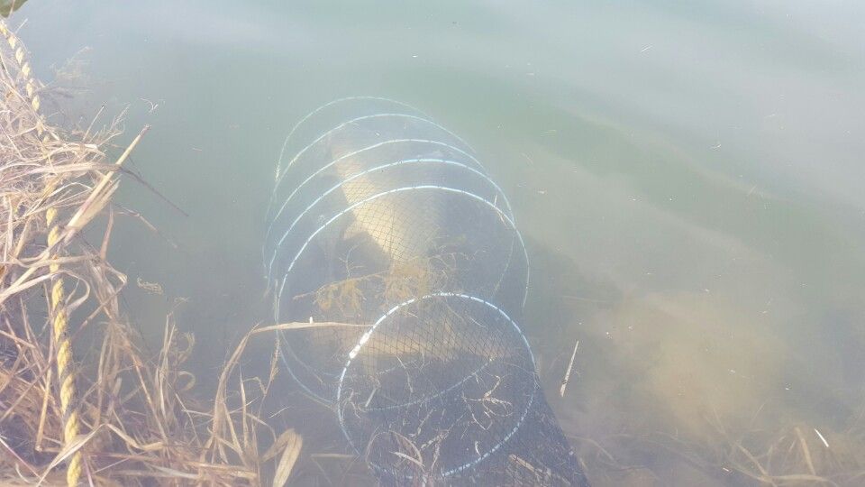 ���� 005.jpg