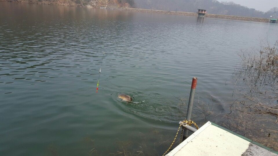 ���� 007.jpg