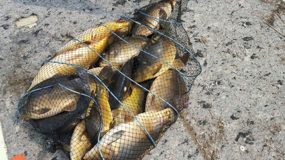 ���� 006.jpg