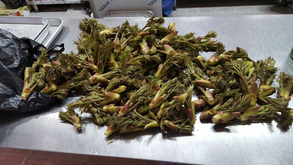 ���� 009.jpg