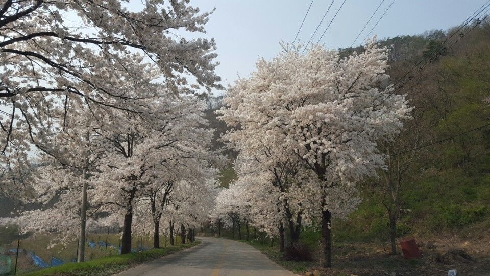 ���� 010.jpg