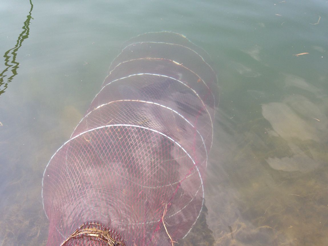 ���� 011.jpg