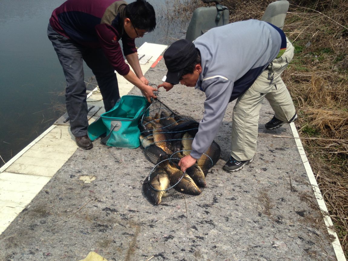 ���� 012.jpg