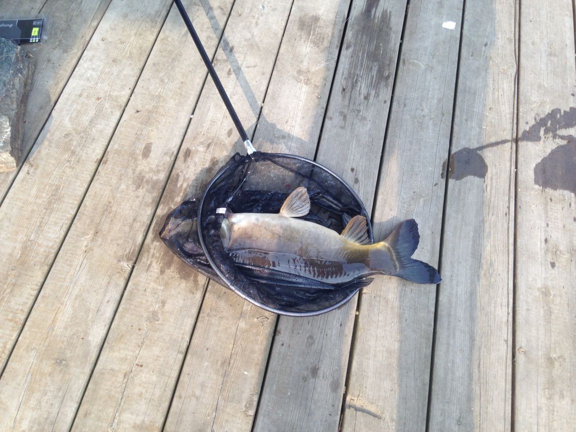 ���� 014.jpg