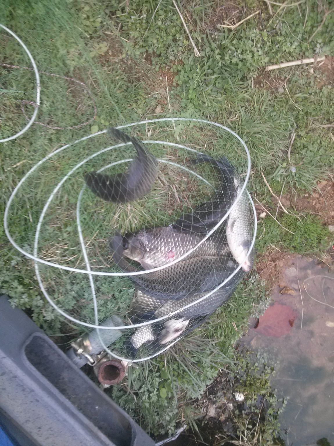 CAM09417.jpg