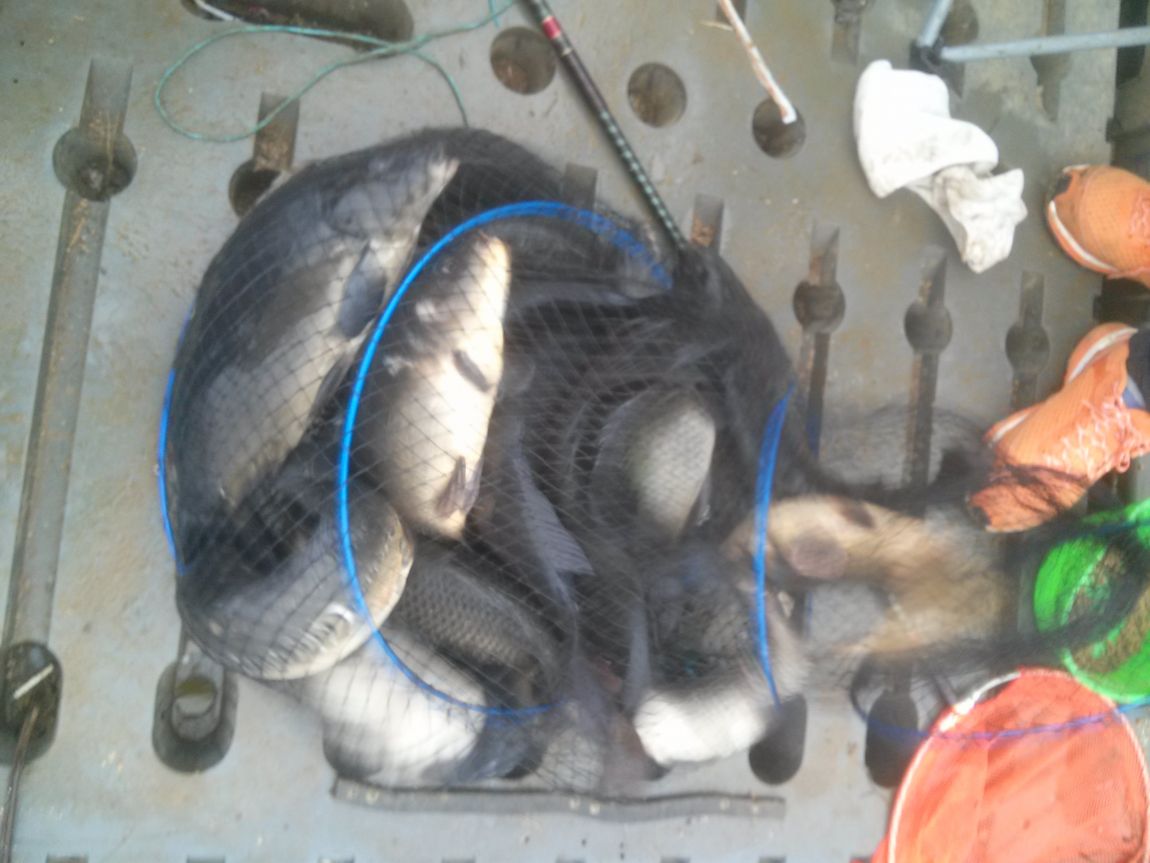 CAM09426.jpg