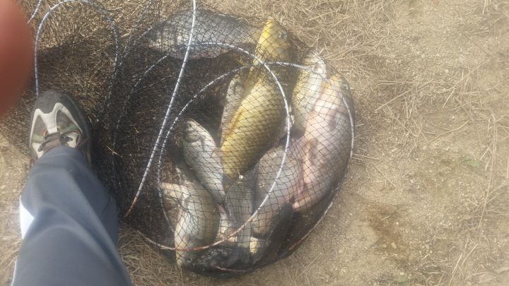 2016004111460171883847.jpg
