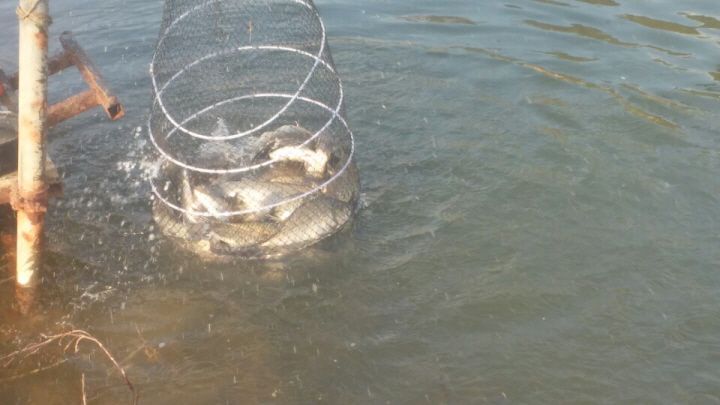 2016004111460335275339.jpg