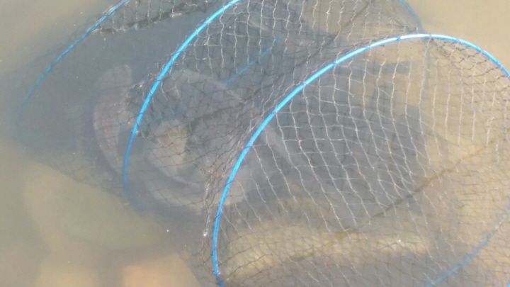 2016004111460335281834.jpg
