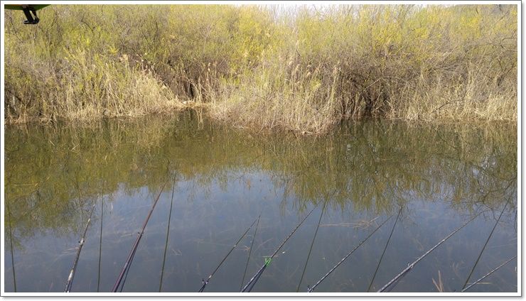 20160407_110435_HDR.jpg
