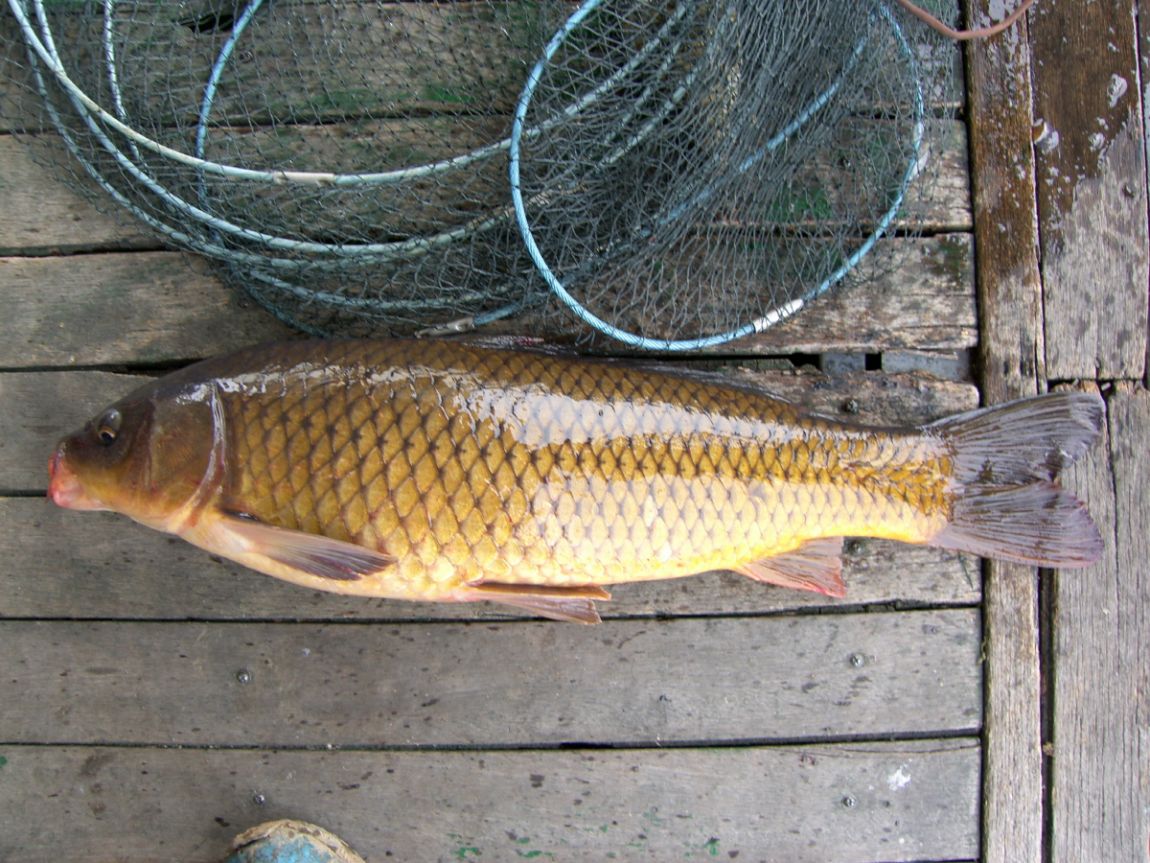 SH101867.JPG