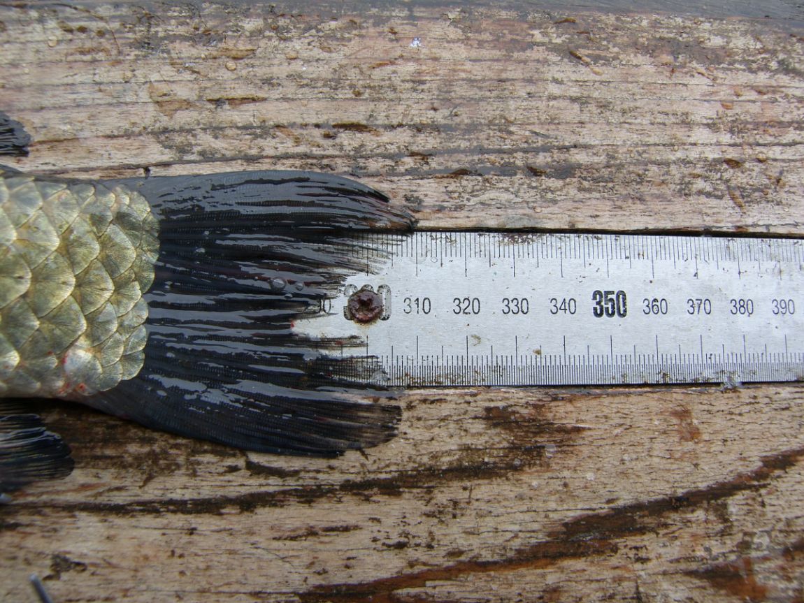 SH101872.JPG