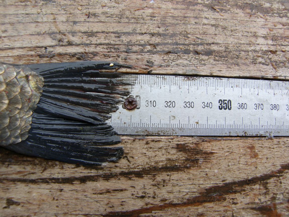 SH101874.JPG