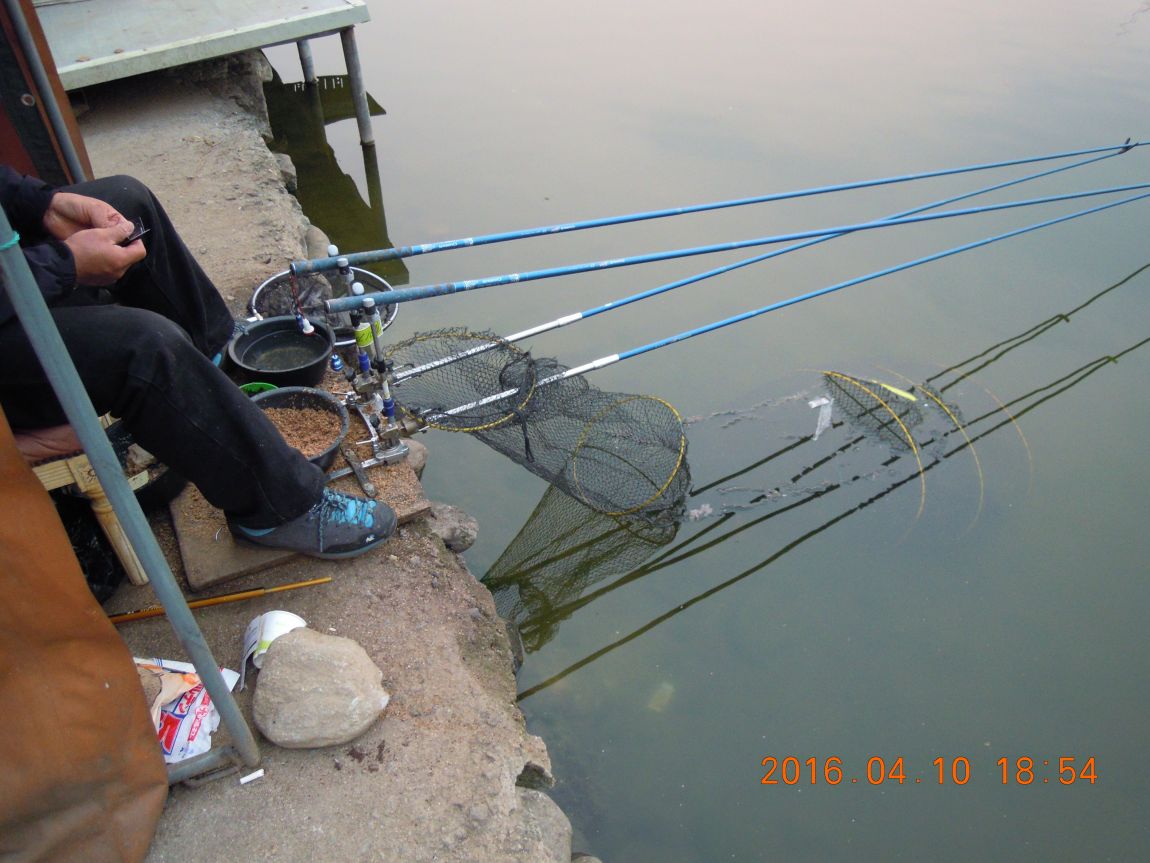 DSCN0426.JPG